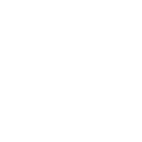 Logo CP AUDIT