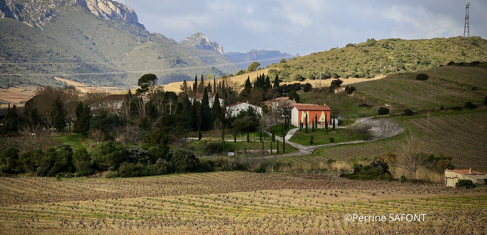 Déclaration de récolte viticole 2025-2026