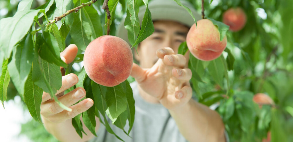 Embaucher un salarié étranger, ce qu'il faut savoir, et pourquoi c'est une bonne idée ! 