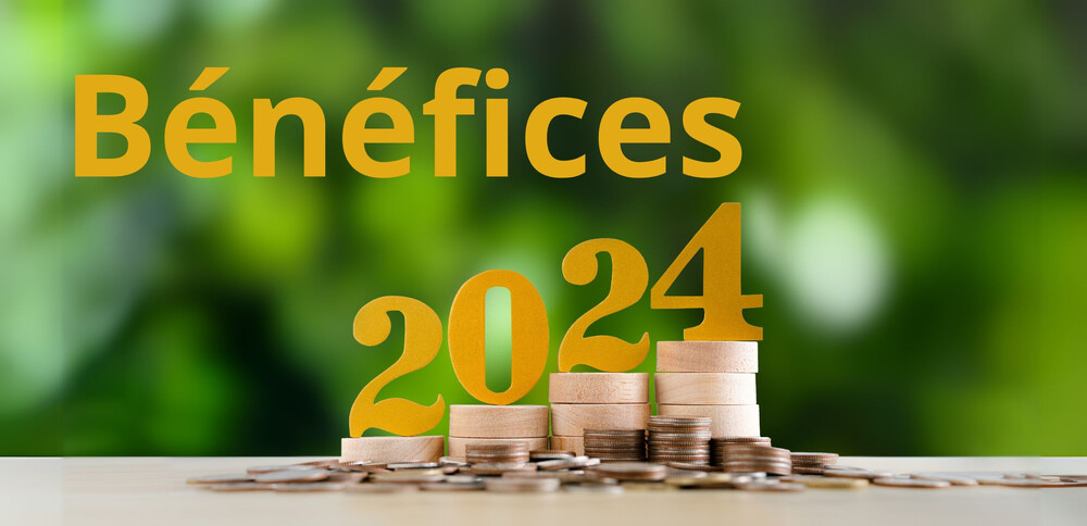 Comment utiliser le bénéfice 2024 en 2025 ? 